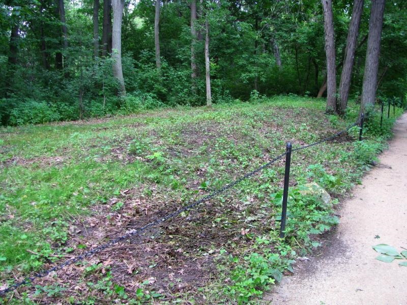 Click for full size image of Picnic Point Effigy Mounds (PID:275445) Picnic Point Effigy Mounds