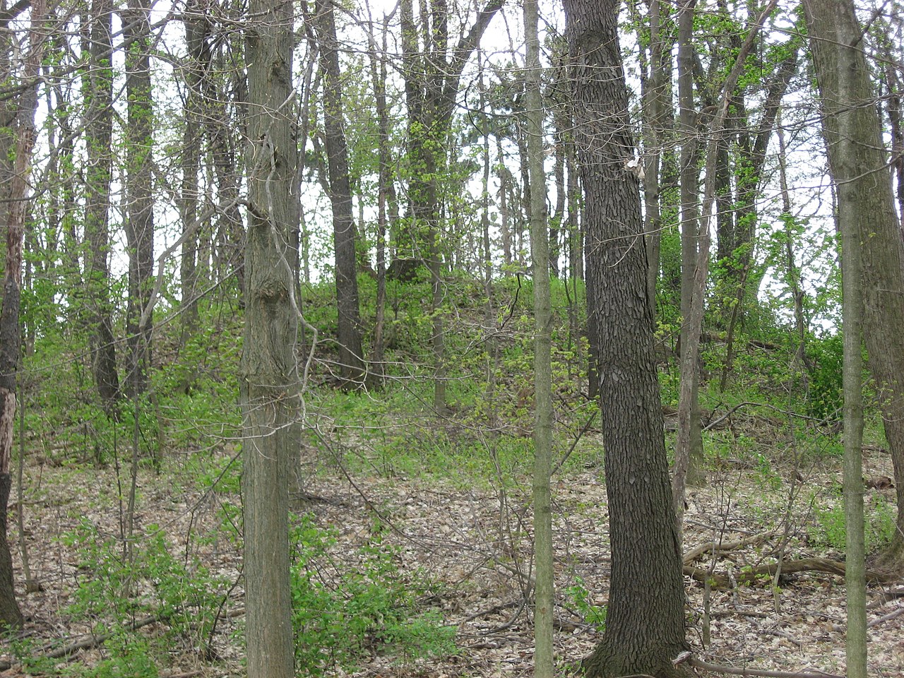 Click for the gallery page to add comments and vote (PID:253922) Raleigh Mound