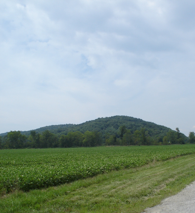 Spruce Hill