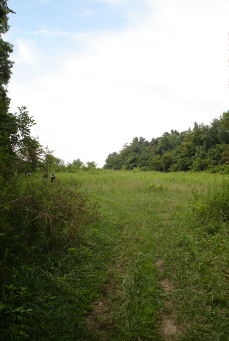Click for the gallery page to add comments and vote (PID:31965) Spruce Hill