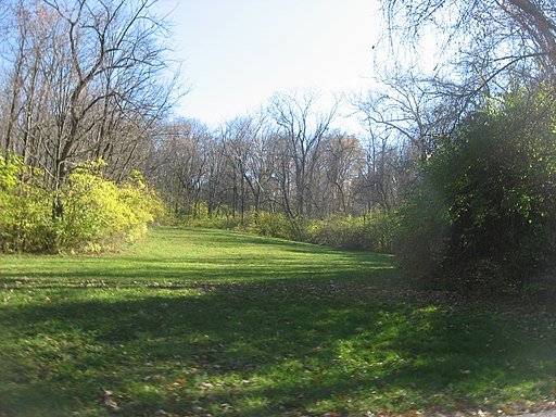 Click for the gallery page to add comments and vote (PID:254601) Benham Mound