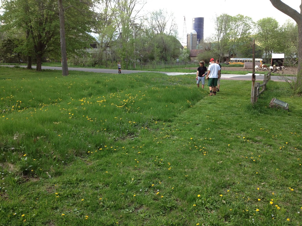 Click for the gallery page to add comments and vote (PID:120285) Man Mound Park