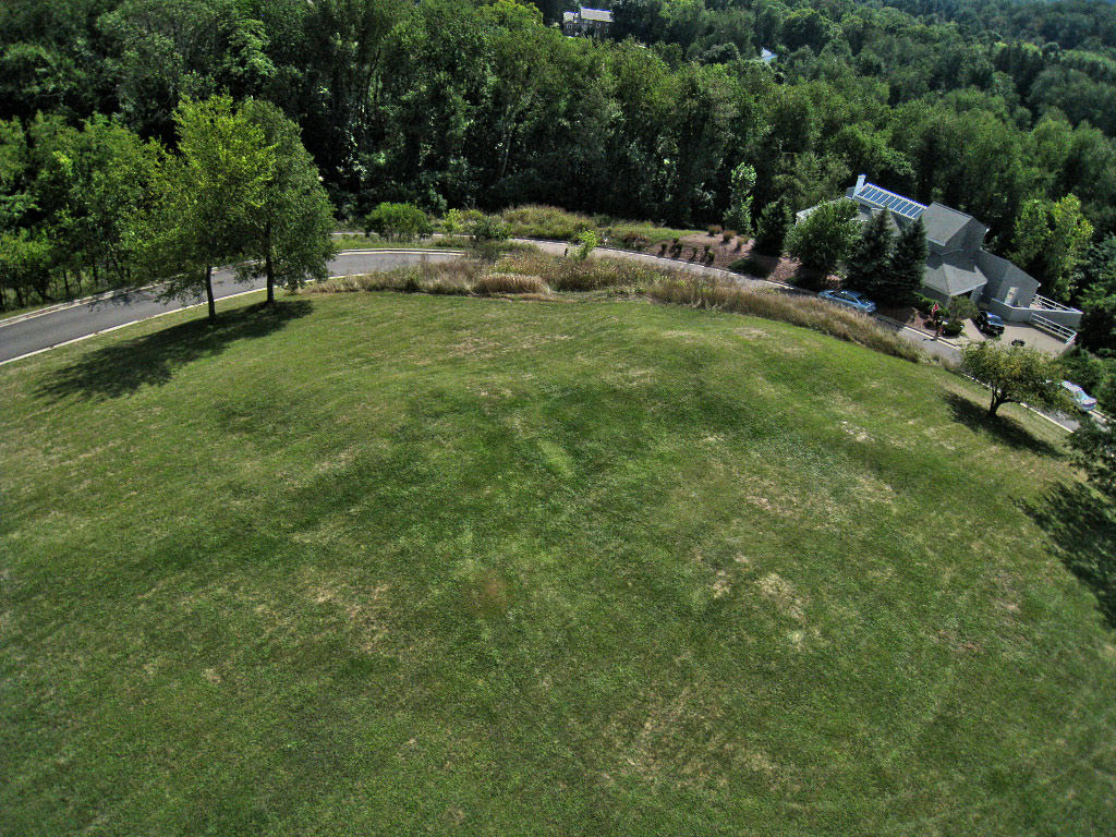 Alligator Mound Artificial Mound : The Megalithic Portal and Megalith Map: