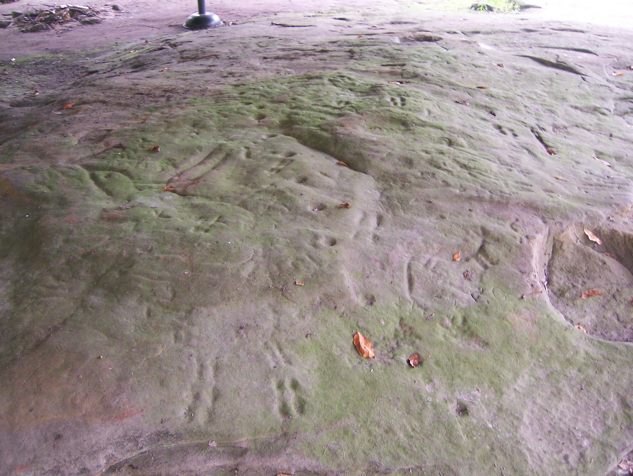 Sanilac Petroglyphs Historic State Park