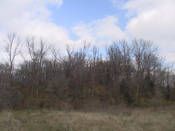 Click for full size image of Pyramid Mound (PID:54845) Pyramid Mound