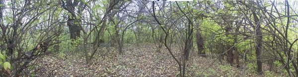 top platform of Pyramid Mound