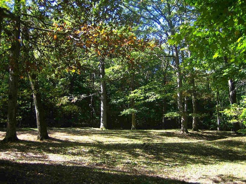 Mounds (Indiana) - Fiddleback Mound