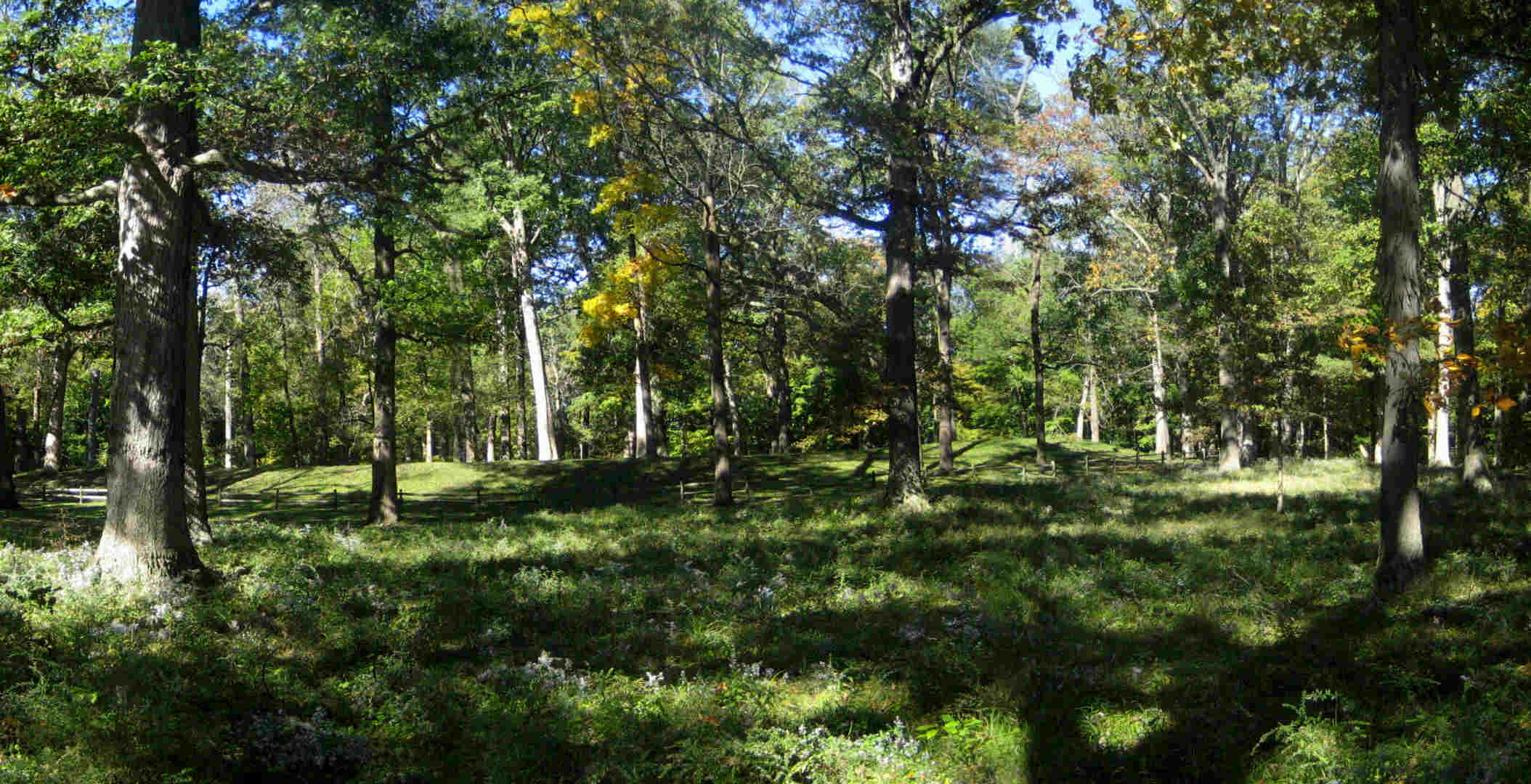 Click for the gallery page to add comments and vote (PID:25369) Mounds (Indiana) - Great Mound