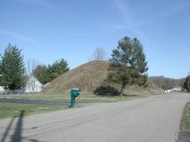 Wolf Plains Group