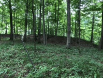 Fort Ancient