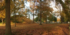 Click for full size image of Marietta Earthworks - Conus (PID:101965) Marietta Earthworks - Conus