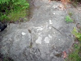 Sanilac Petroglyphs Historic State Park