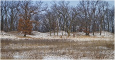 Albany Mounds submitted by Flickr