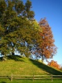 Enon mound