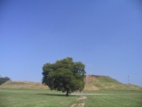 Cahokia - Monk's Mound