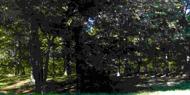 Mounds (Indiana) - Circle Mound