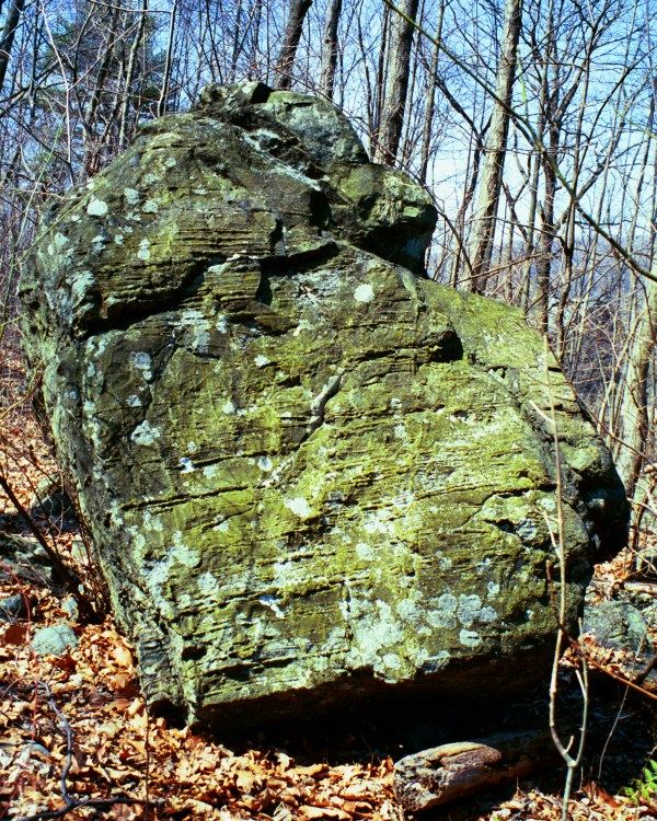 One of the notable boulders at the Hackettstown site. Natural boulders of unusual shapes are a common element in the ceremonial stone landscapes of the eastern U.S.