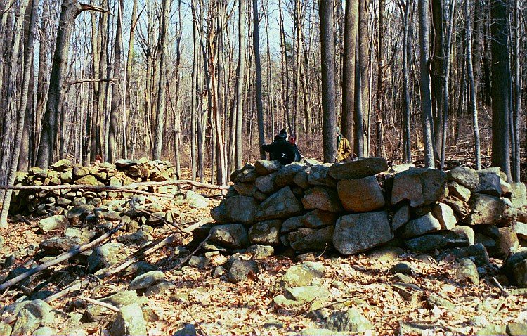 Hackettstown Ceremonial Stone Landscape