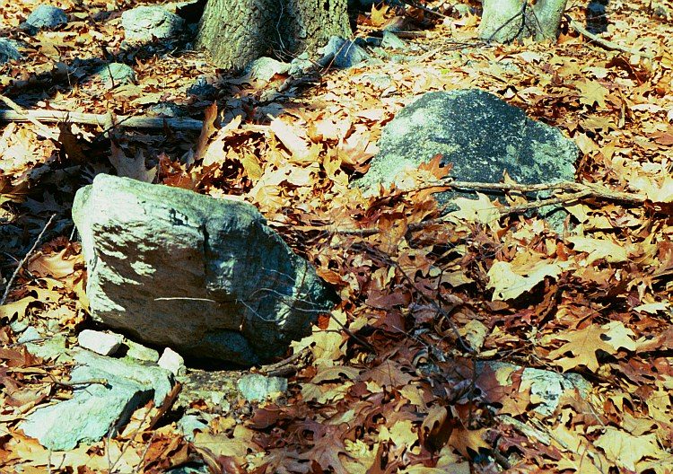 Hackettstown Ceremonial Stone Landscape