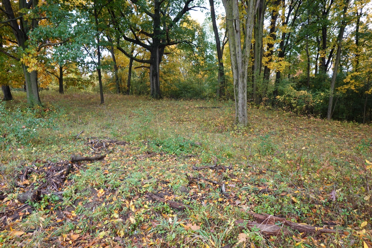 Algonkian Village