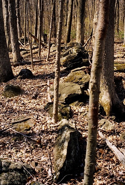 Bucks County PA Sacred Ceremonial Stone Landscape