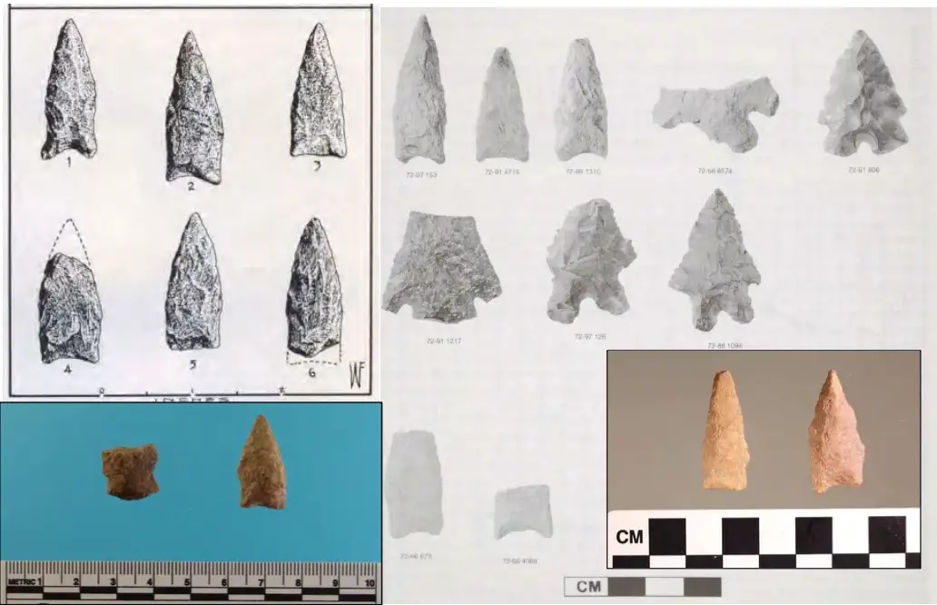 Comparison of known Parallel Stemmed projectile points: Fowler (1968a) upper left; Jones (1999) displaying Parallel Stemmed and Bifurcates, upper right; Singer (2017) lower right; and lower left, Northampton, MA - this site. 

(Source: Massachusetts State archaeological report)
