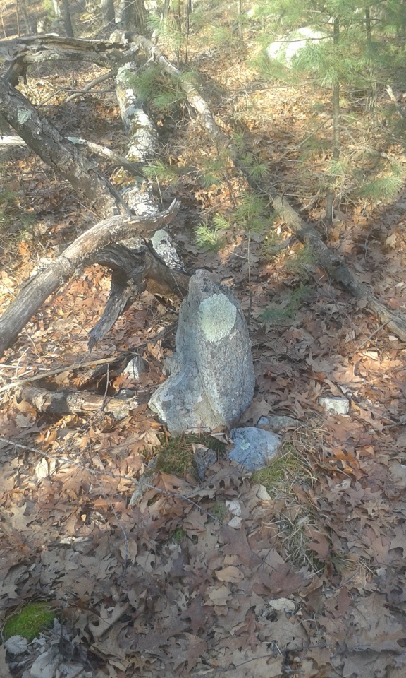 Click for the gallery page to add comments and vote (PID:253296) Foxborough Standing Stone (3)
