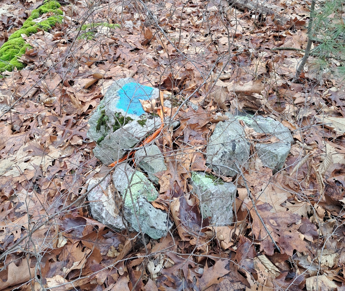 Click for the gallery page to add comments and vote (PID:253454) Foxborough Standing Stone (3)