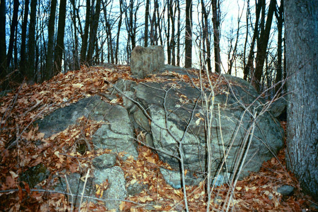 Still another element of the complex at Oley Hills, Berks County, Pennsylvania: a squared-off boulder wedged between the halves of a rounded split boulder. The boulder is large--those trees behind it are not saplings.