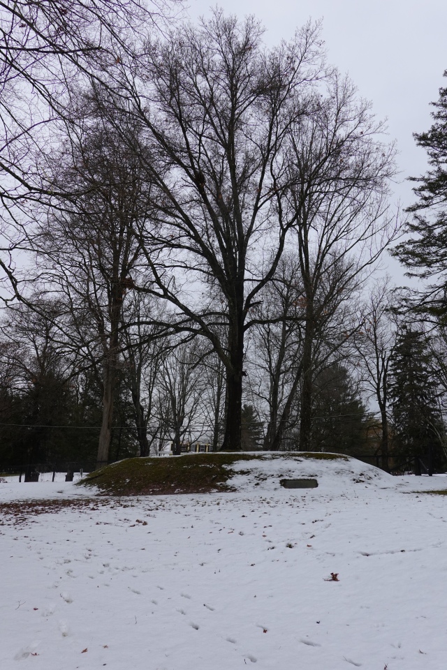 Cooperstown Burial Mound
