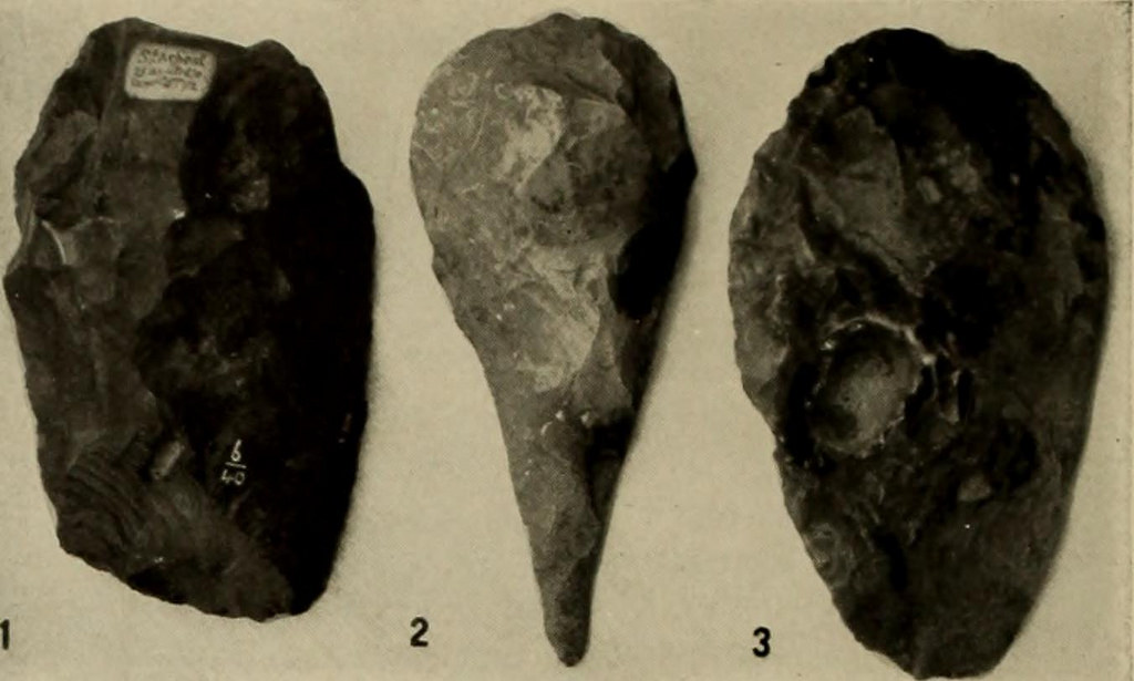 Click for full size image of American Museum of Natural History (New York) (PID:167438) American Museum of Natural History (New York)