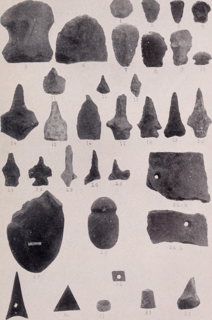 Click for full size image of American Museum of Natural History (New York) (PID:167437) American Museum of Natural History (New York)