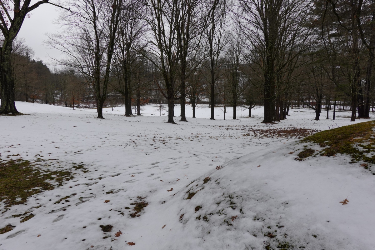 Cooperstown Burial Mound