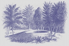 Perch Lake mounds