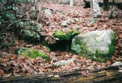 Montville Chamber - PID:34378