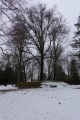 Cooperstown Burial Mound - PID:283035