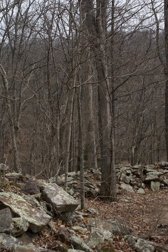 Click for full size image of Giant City Stone Fort Site (PID:263000) Giant City Stone Fort Site