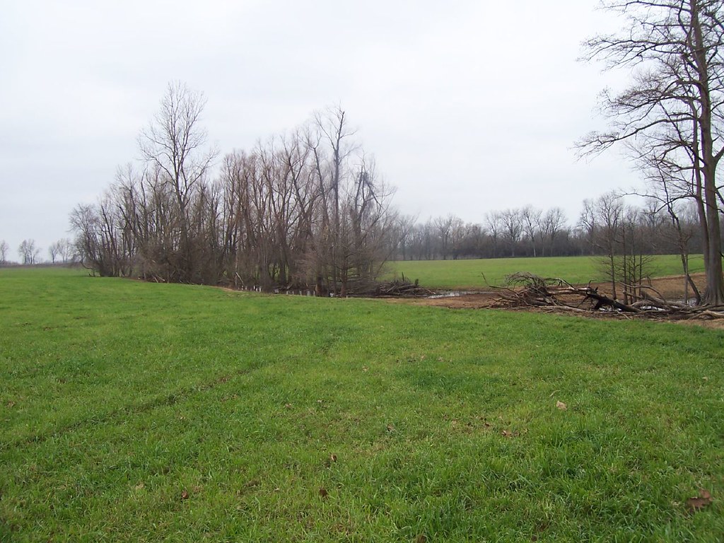 Click for full size image of Caddo Mounds (PID:190362) Caddo Mounds