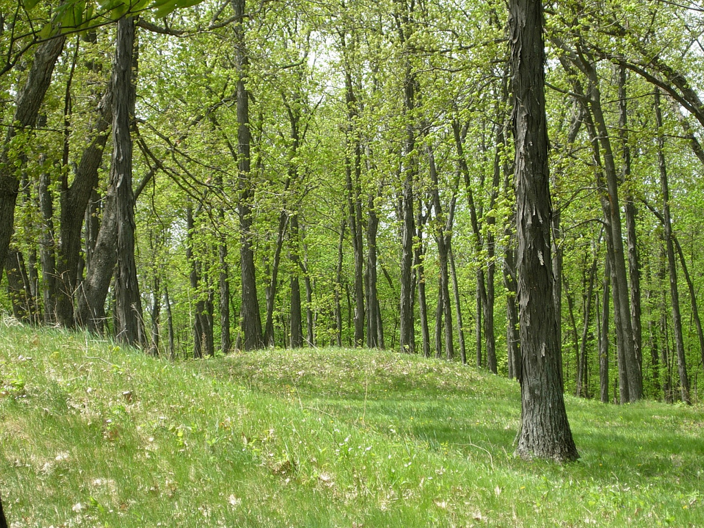 Click for the gallery page to add comments and vote (PID:135728) Effigy Mounds National Monument