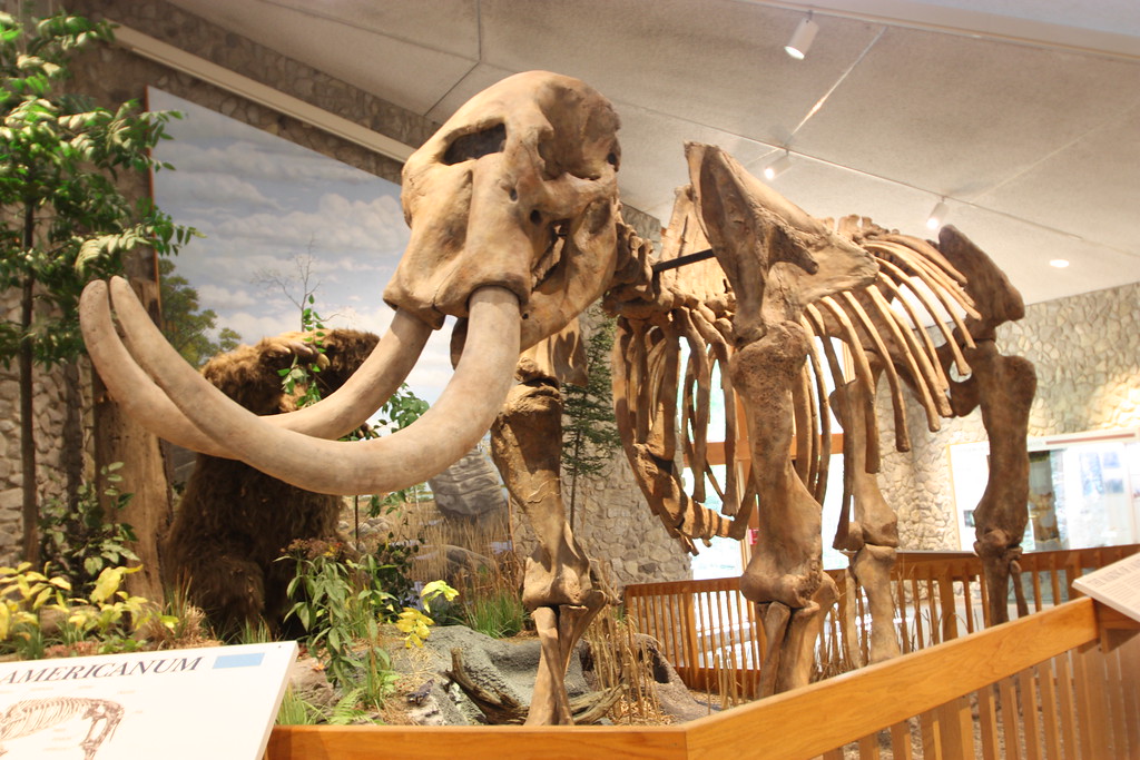 Mastodon State Historic Site