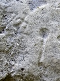 Washington State Park Petroglyphs