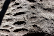 Washington State Park Petroglyphs