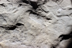 Washington State Park Petroglyphs