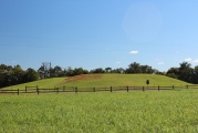 Click for full size image of Caddo Mounds (PID:190357) Caddo Mounds