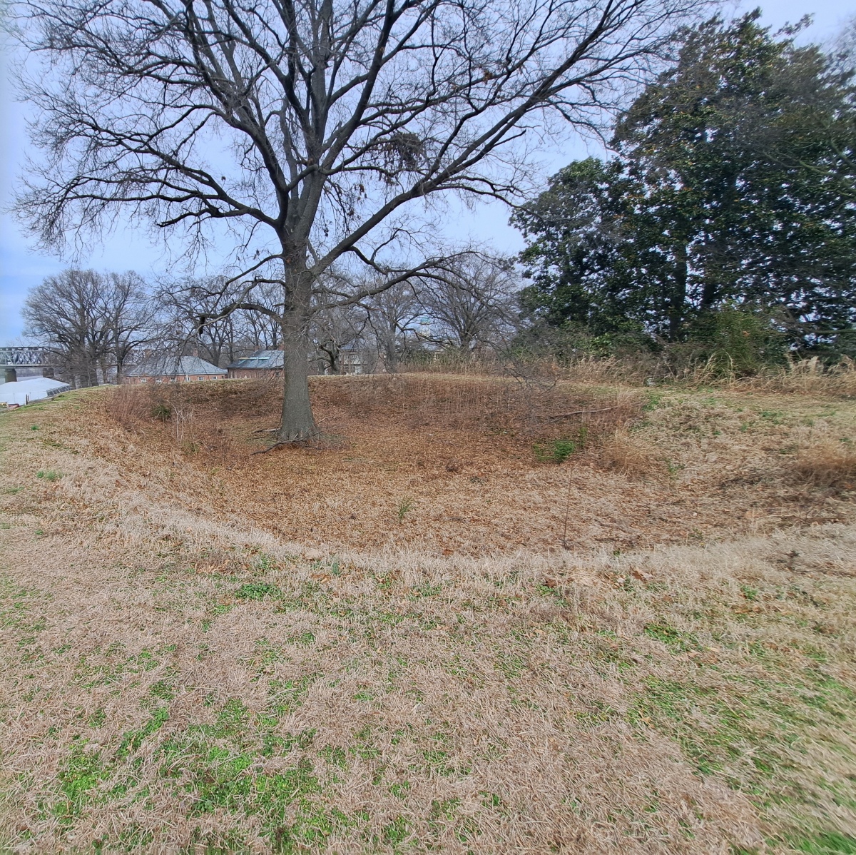 The rectangular platform mound closest to the Miss River. The hollowed out area on top was a Civil War modification to accommodate guns and troops. Was originally a Confederate redoubt but was captured by the Union troops relatively early in the war.