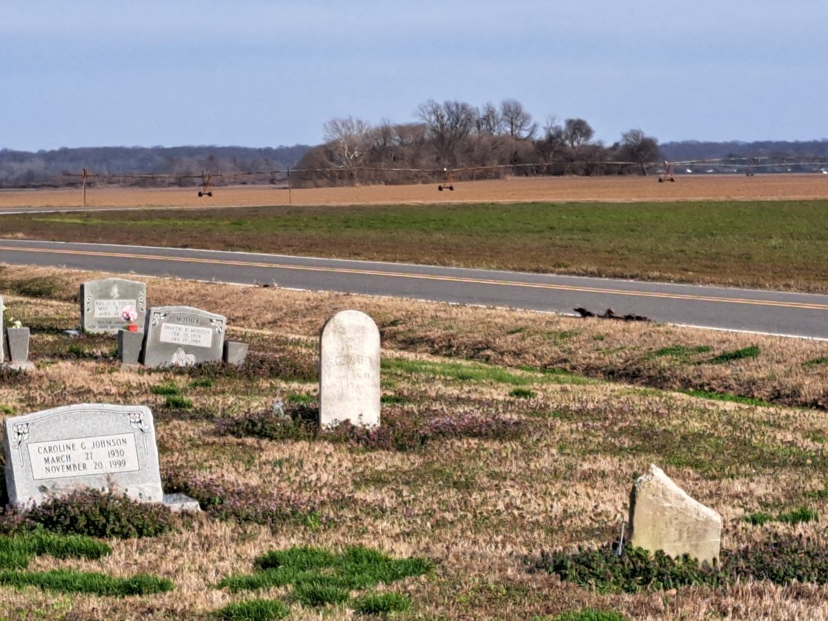 Click for the gallery page to add comments and vote (PID:269963) Cheatham Mound
