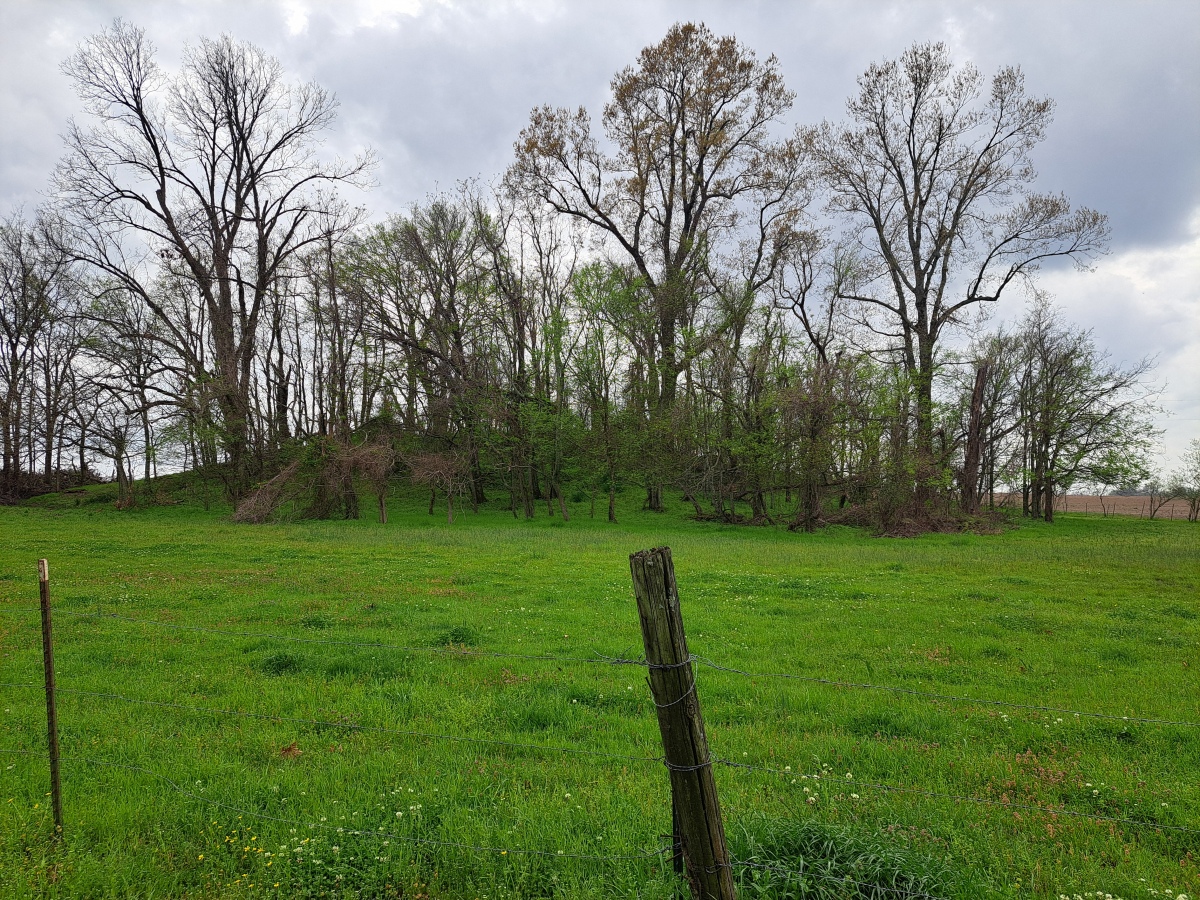 Alligator Mounds (Clarksdale)