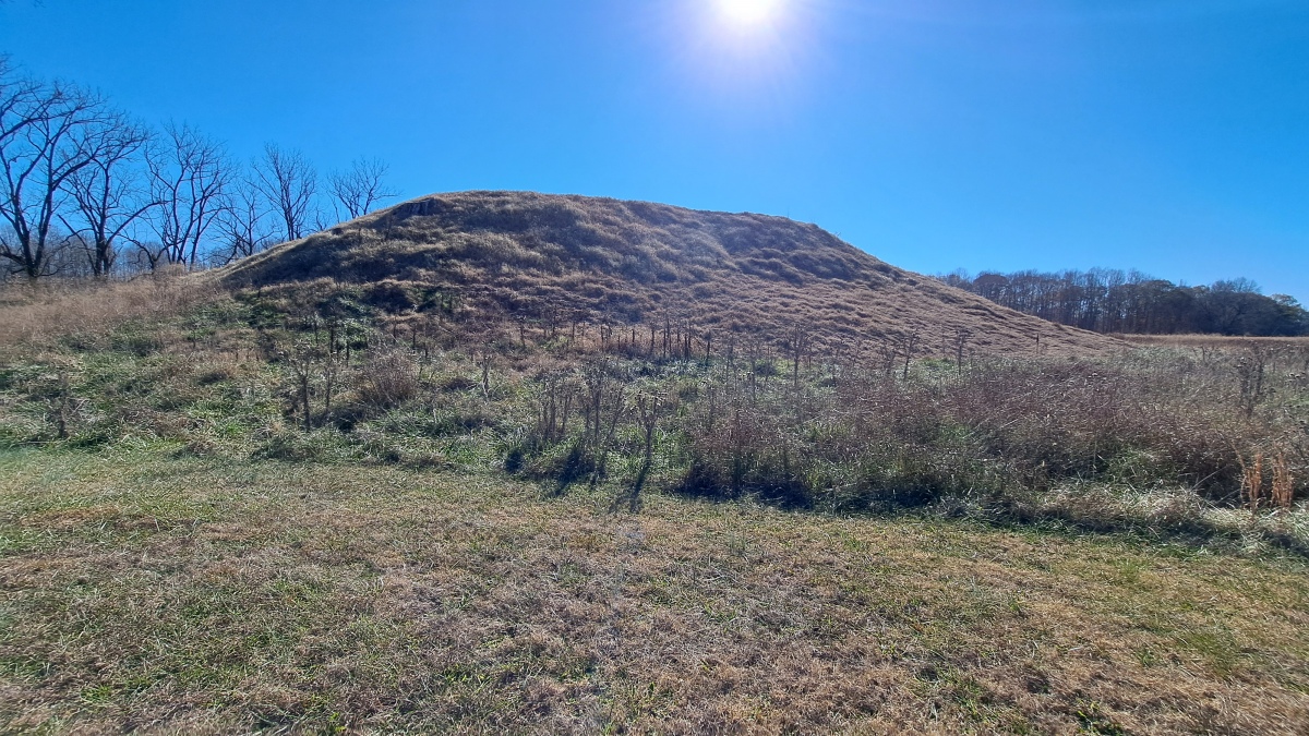 Pinson Mounds - Ozier Mound (PID:283256) Pinson Mounds - Ozier Mound