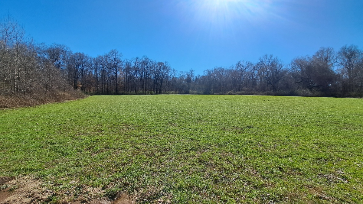 Windsor Mounds