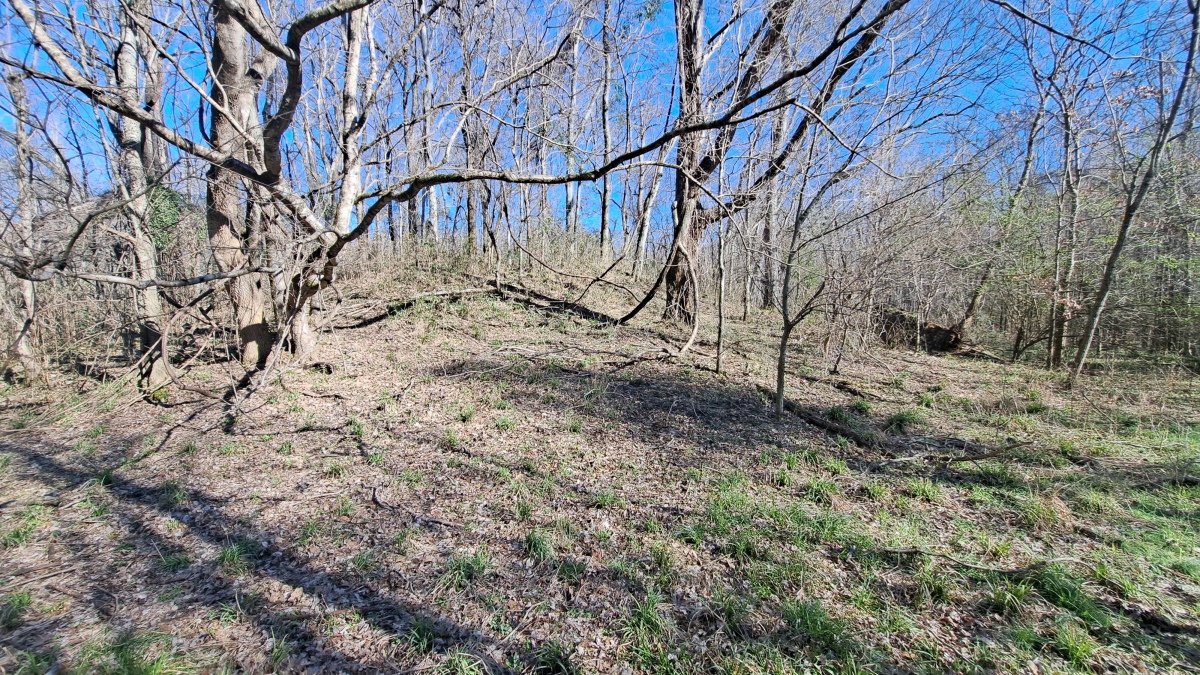 Windsor Mounds